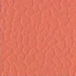 Coral 3146