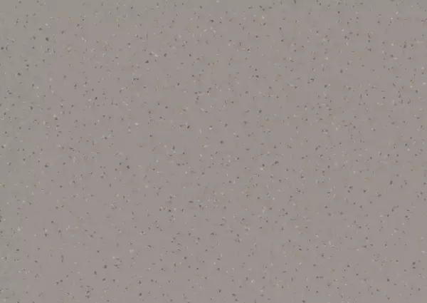 grey stars