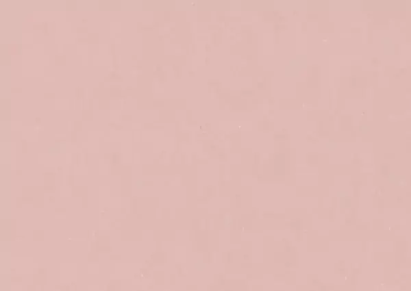 powder rose