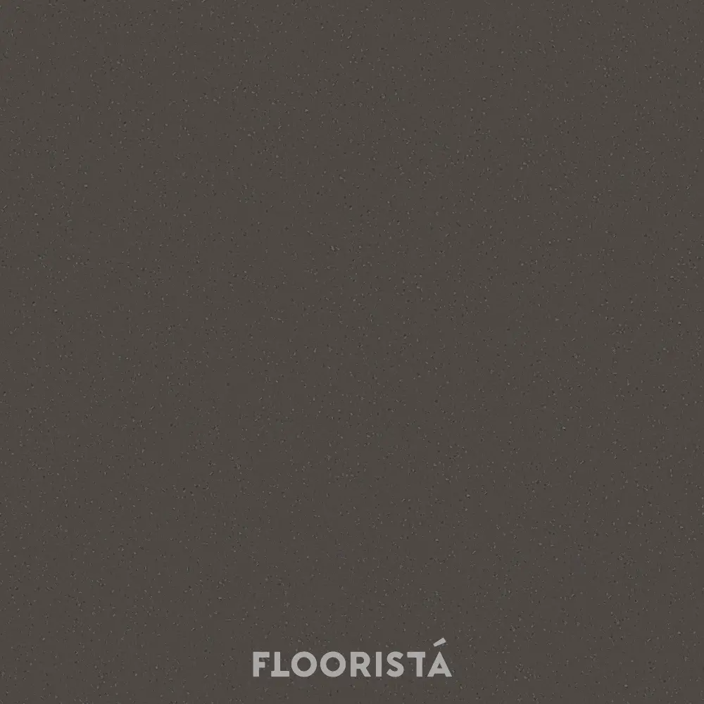 FT-P 8609 พื้นไวนิลลายหินขัด กระเบื้องยางลายหินขัด สีน้ำตาล FT-P8609 Terrazzo