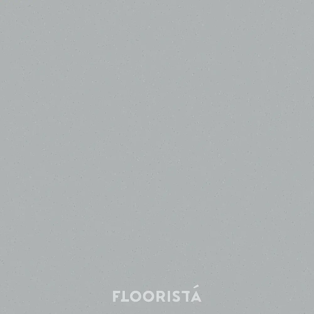 FT-P 8636 พื้นไวนิลลายหินขัด กระเบื้องยางลายหินขัด สีเทา FT-P8636 Terrazzo