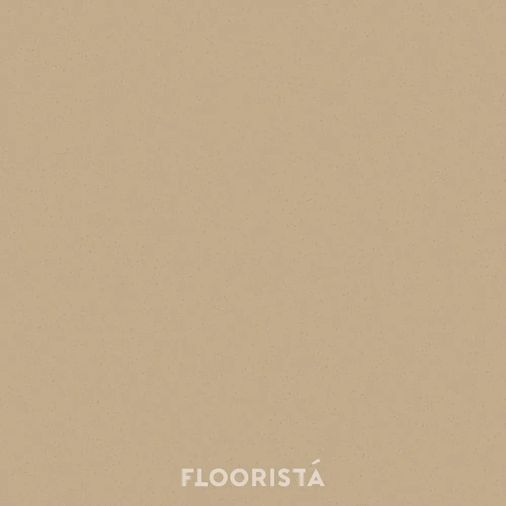 FT-P 8646 พื้นไวนิลลายหินขัด กระเบื้องยางลายหินขัด สีส้ม FT-P8646 Terrazzo