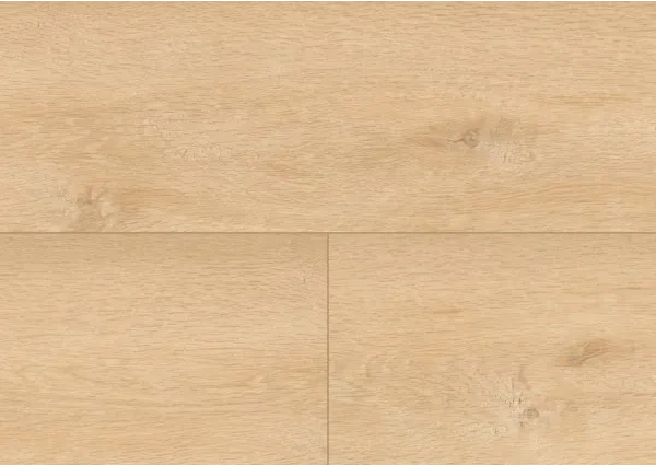 Queen Oak Amber
